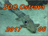 Ostrava 2017